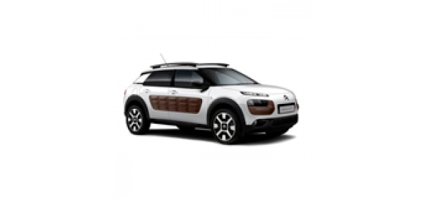 C4 Cactus (2014 - по н.в.)