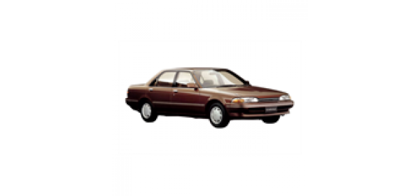 Carina (1983 - 1992)