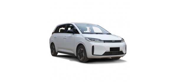 D1 (2020 - по н.в.)