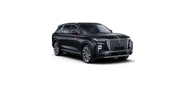 E-HS9 (2020 - по н.в.)