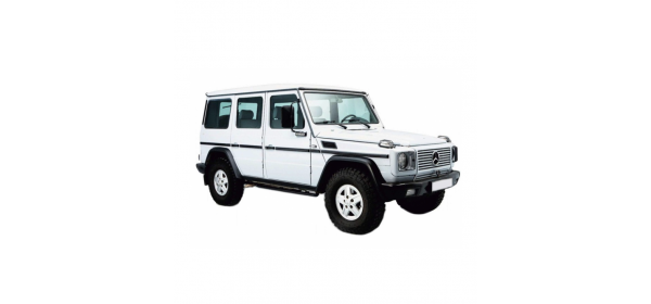 G-Class, W460 (1980 - 1989)