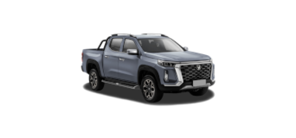 Hunter Plus, P201 (2022 - по н.в.)