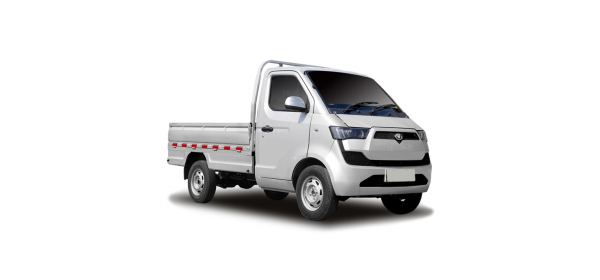 MINI PICKUP TRUCK (2023 - по н.в.)