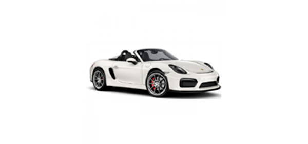 918 Spyder (2010 - по н.в.)