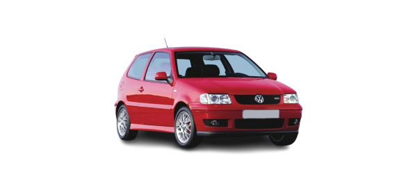 Polo / Derby, 6N1 / 6N2 / 6V2 / 6V5 / 868 (1981 - 2001)