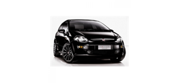 Punto Evo, 199 (2009 - 2012)