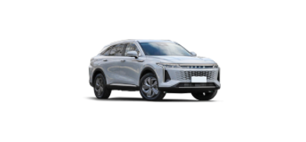 RX / Yaoguang (2022 - по н.в.)