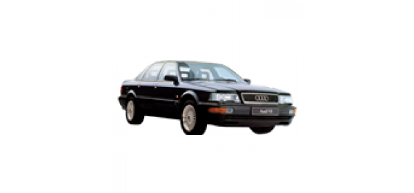 V8 (1989 - 1994)