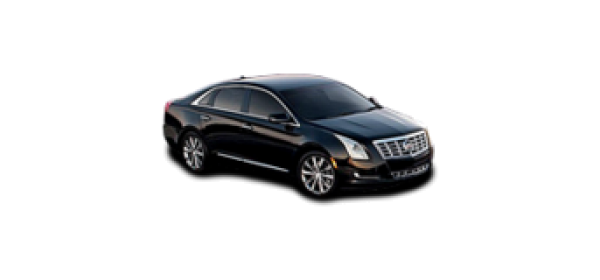 XTS (2012 - по н.в.)