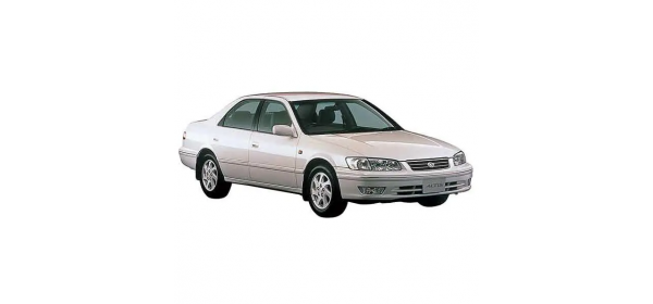 Altis, XV20 (2000 - 2001)