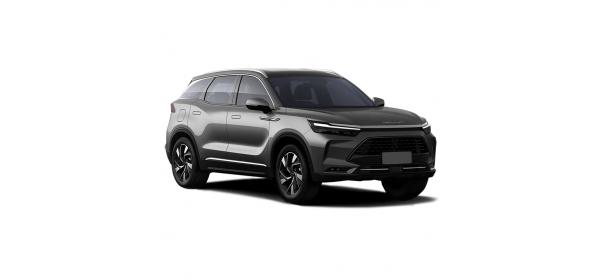 Beijing X7 (2020 - по н.в.)