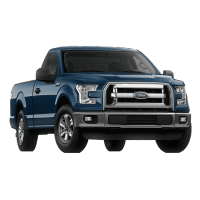 Ford / F-серия (1997 - ) / F-150, F6 (1997 - по н.в.) / F-150 5.0 V8 Ti-VCT