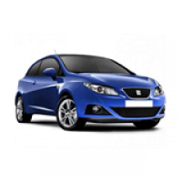 Seat / Ibiza (1984 - 2024) / Ibiza, 6J / 6J1 / 6J5 / 6J8 (2008 - 2017) / Ibiza 1.9 TDI (66 кВт) DPF