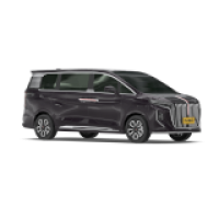 Hongqi / HQ9 (2022 - по н.в.) / HQ9 2.0T