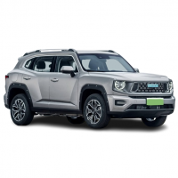 HAVAL / H-Dog (2023 - ) / H-Dog (2023 - по н.в.) / H-Dog 2.0T AWD