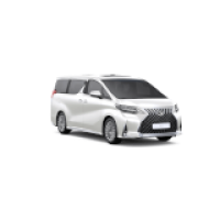 Lexus / LM (2019 - ) / LM, H30 (2019 - по н.в.) / LM500h 2.4 AWD / 4WD / e4WD (T24A-FTS) (TAWH15)