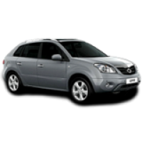 Samsung / QM5, H45 (2008 - по н.в.) / QM5 2.0 dCi (127 кВт) 4x4 (H45)