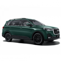 SWM / G05 Pro (2018 - по н.в.) / 1.5 2WD (SWD15T)