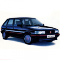MG / Maestro (1983 - 1989) / Maestro 2.0 EFi